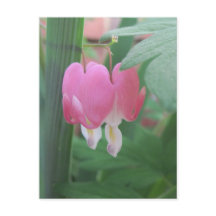 出血ハート～二つのハートを1つとして