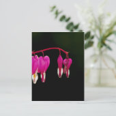 出血 – ハート ポストカード (スタンド正面)