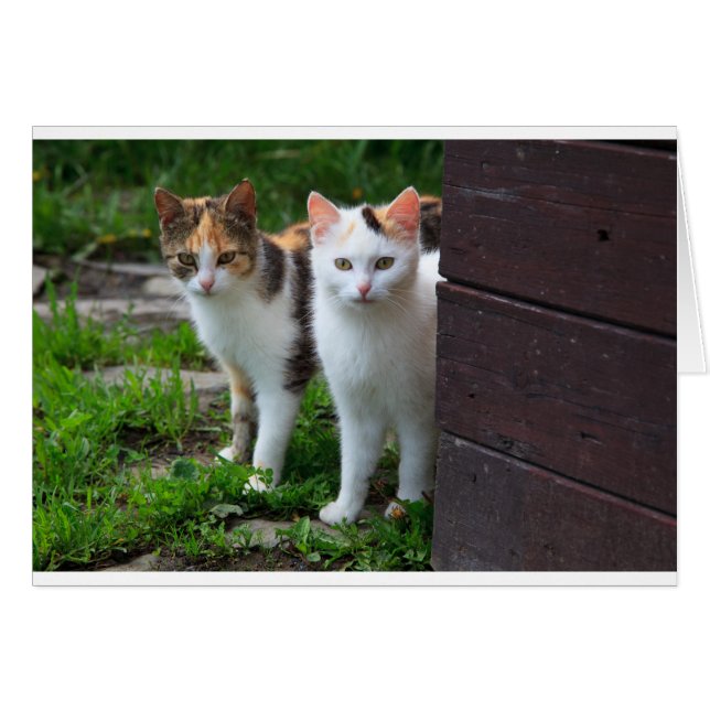 出遊て (正面横)