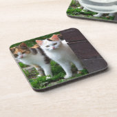 出遊て コースター (左側)