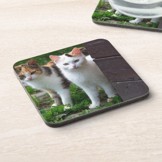 出遊て コースター (左側)