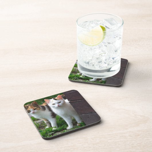 出遊て コースター (右側)