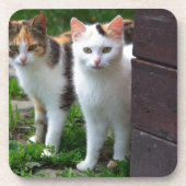 出遊て コースター (正面)