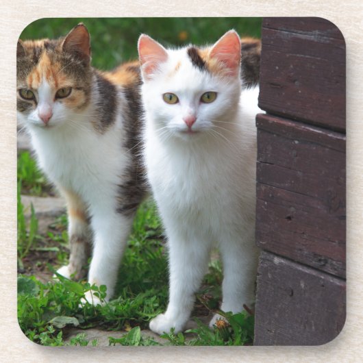 出遊て コースター (正面)