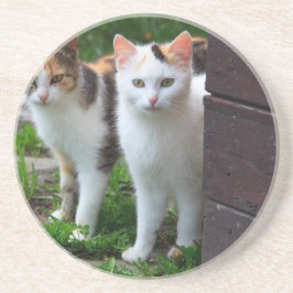 出遊て コースター