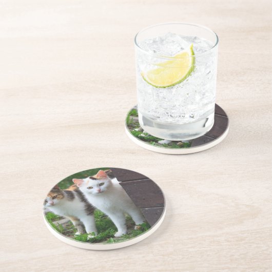 出遊て コースター (側面)