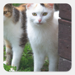 出遊て スクエアシール