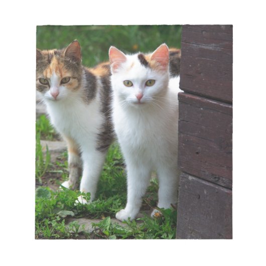 出遊て ノートパッド (正面)