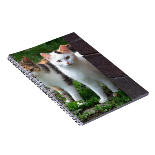 出遊て ノートブック (右側)