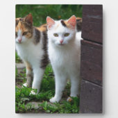 出遊て フォトプラーク (正面)