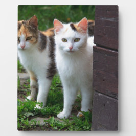 出遊て フォトプラーク