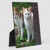 出遊て フォトプラーク (側面)