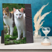 出遊て フォトプラーク (側面)