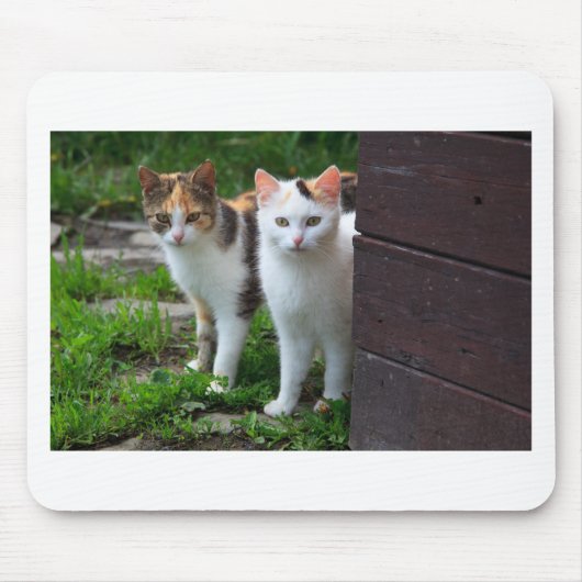 出遊て マウスパッド (正面)