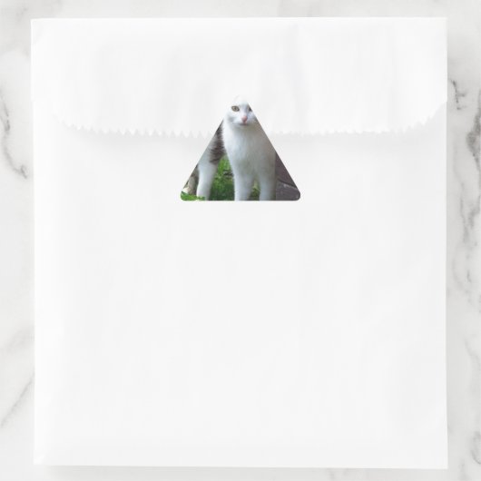 出遊て 三角形シール (バッグ)