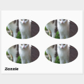 出遊て 楕円形シール (シート)