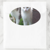 出遊て 楕円形シール (バッグ)