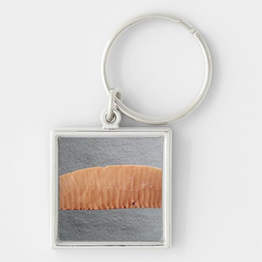 刃 キーホルダー (正面)