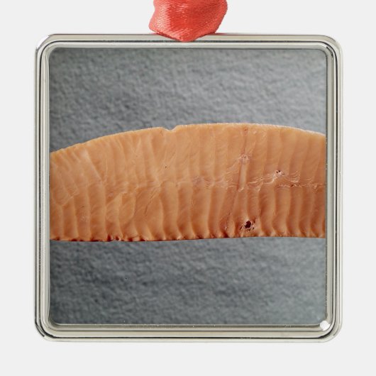 刃 メタルオーナメント (正面)