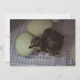 分かったばかり 招待状