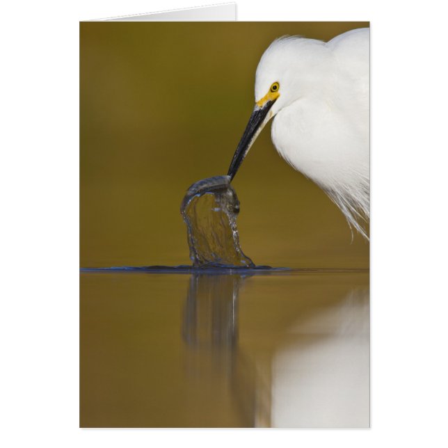 分かった！ (正面)