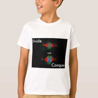 分け、征服して下さい Tシャツ