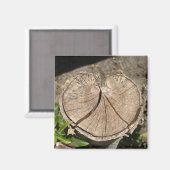 分割ハートの切り株の磁石 マグネット (正面/裏面)