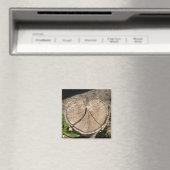 分割ハートの切り株の磁石 マグネット (インサイチュ (食洗機))