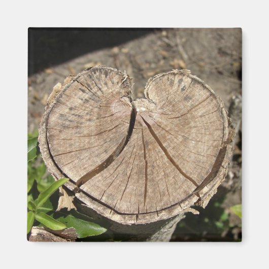 分割ハートの切り株の磁石 マグネット (正面)