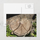 分割ハートスタンプはがき ポストカード (正面/裏面)