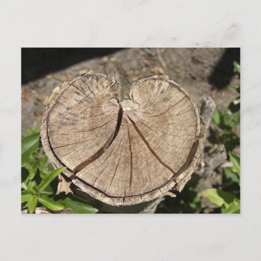 分割ハートスタンプはがき ポストカード (正面)