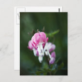 分割ハートラインアップはがき ポストカード (正面/裏面)