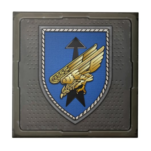 分割Spezielle Operationen [DSO] タイル (正面)