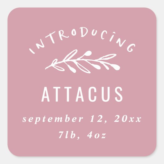 分娩発表の紹介 スクエアシール (正面)