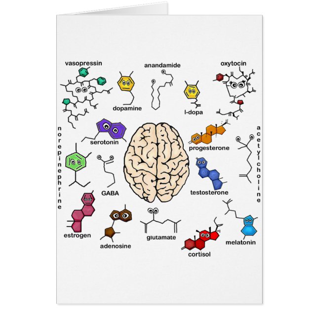 分子ガロール！ (正面)