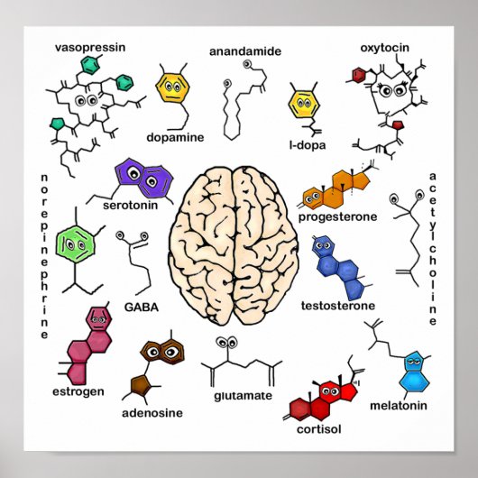 分子ガロール！ポスター ポスター (正面)