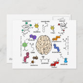 分子ガロール! ポストカード (正面/裏面)