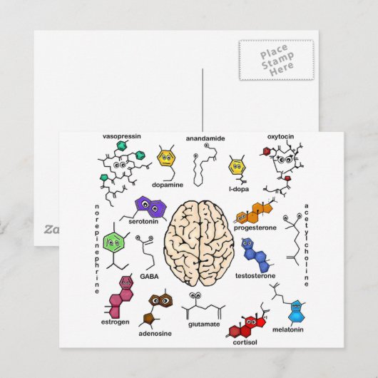 分子ガロール！ ポストカード (正面/裏面)