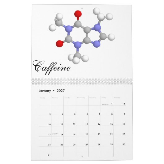 分子コレクション2011年 カレンダー (1月 2027)