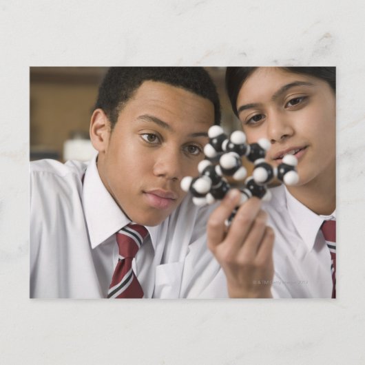 分子モデルを見る生徒たち ポストカード (正面)