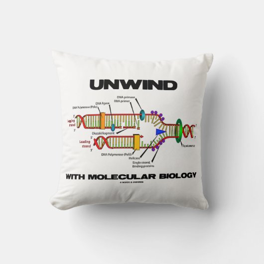 分子生物学のDNA複製で巻き上げる クッション (正面)