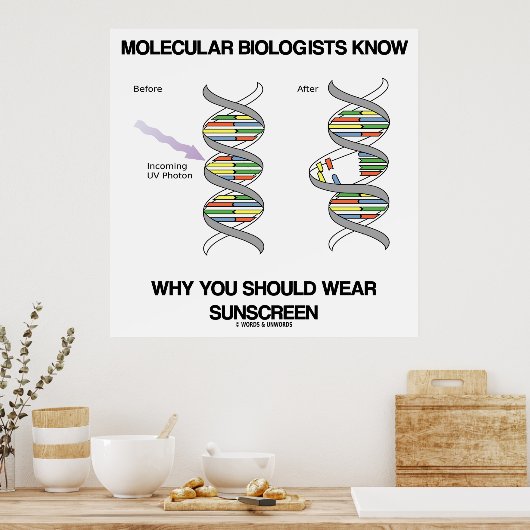 分子生物学者が知っている理由サンスクリーン衣服 ポスター (キッチン)