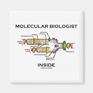 分子生物学者の内部(DNAの写し) マグネット