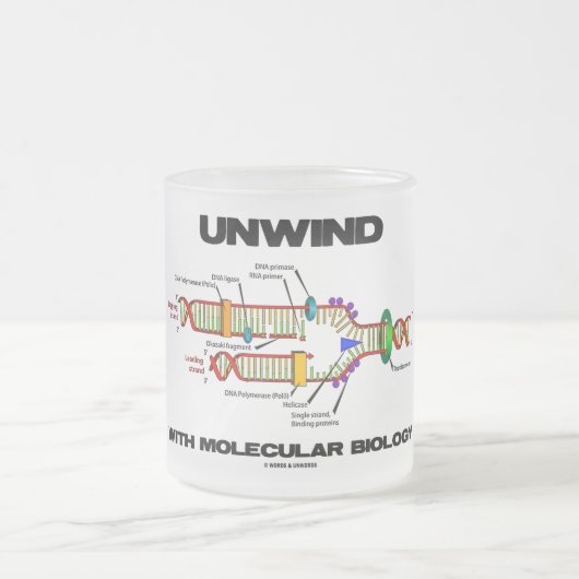 分子生物学(DNA複製)で巻き上げる フロストグラスマグカップ (中央)