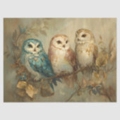 分岐お洒落切り離し上の3つのフール 薄葉紙 (正面)