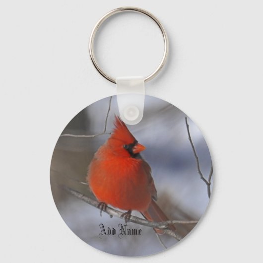 分岐に名前（鳥）ショウジョウコウカンチョウを追加 キーホルダー (正面)