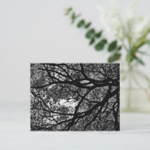 分岐のポストカード ポストカード (スタンド正面)