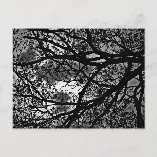 分岐のポストカード ポストカード (正面)