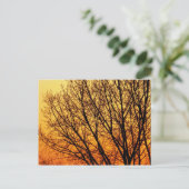 分岐ノテ空白のカード1 ポストカード (スタンド正面)