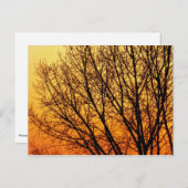 分岐ノテ空白のカード1 ポストカード (正面/裏面)